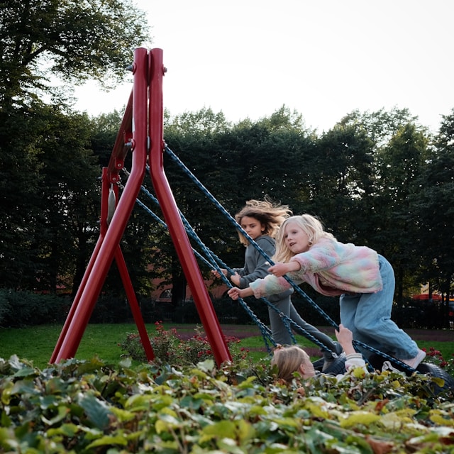 Zâmbete și armonie